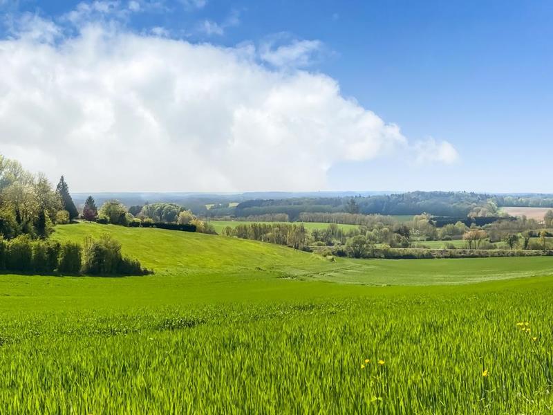 Maison - 161 m² - 8 pièces