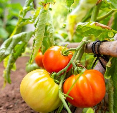 Ferme de Bretonvilliers