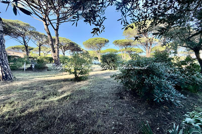 Terrain - 1 903 m²