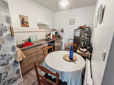 Appartement - 55 m² - 2 pièces
