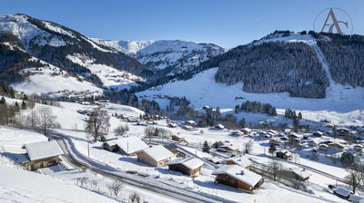 Châlet - 355 m² - 1 pièce