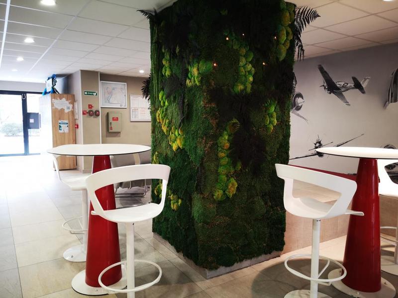 Studio - 21 m² - 1 pièce