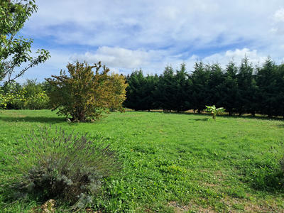 Maison - 65 m² - 3 pièces