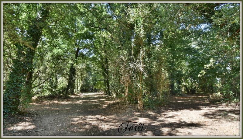 Maison de domaine - 670 m²