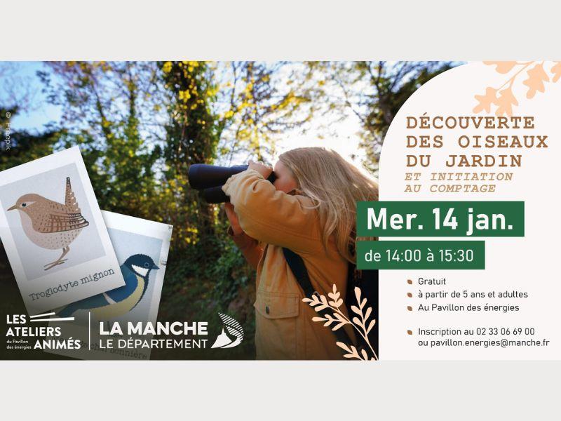 Découverte des oiseaux du jardin et initiation au comptage