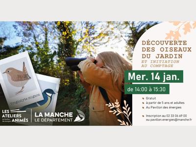 Découverte des oiseaux du jardin et initiation au comptage