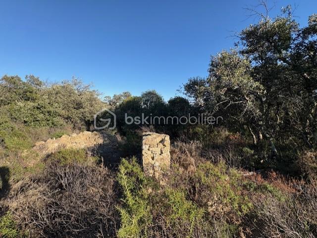 Terrain agricole - 10 160 m²