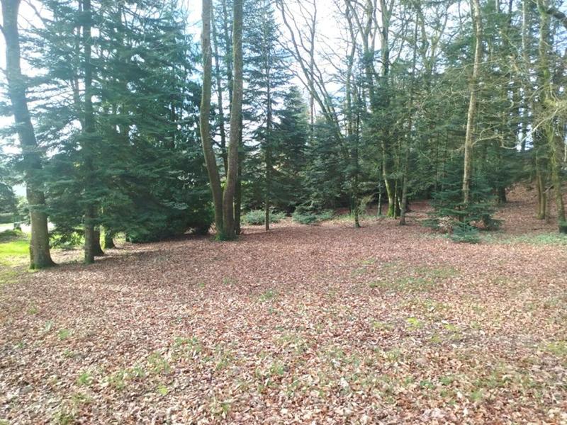 Maison - 184 m² - 6 pièces