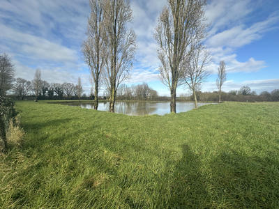 Maison - 161 m² - 5 pièces