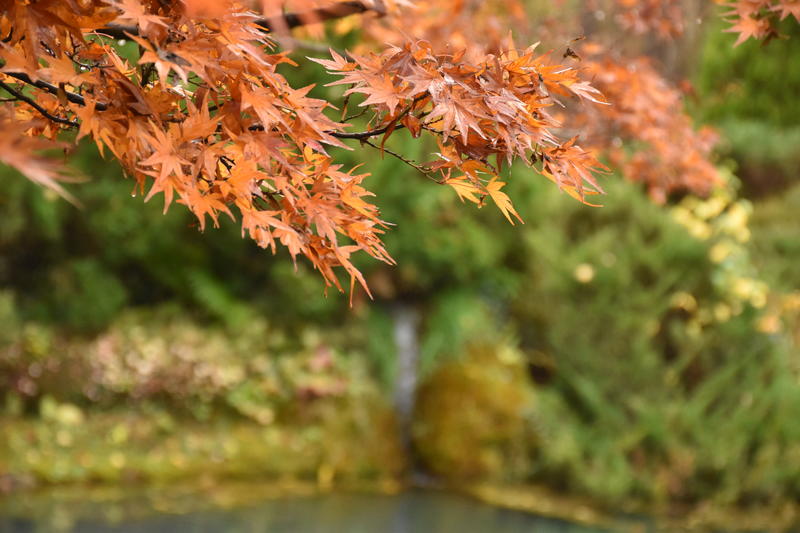 Concours photos : Automne