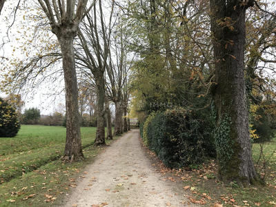 Maison - 600 m² - 25 pièces