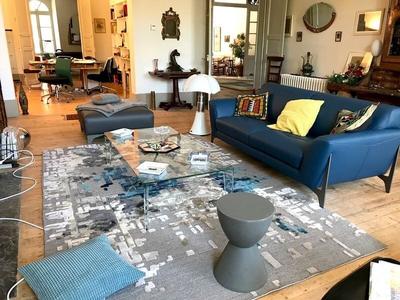 Hôtel particulier - 475 m² - 12 pièces