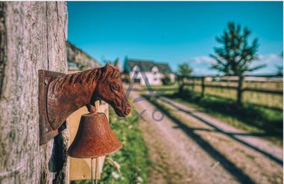 Haras - 192 m² - 7 pièces