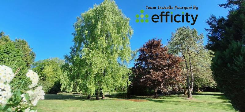 Demeure - 410 m² - 14 pièces