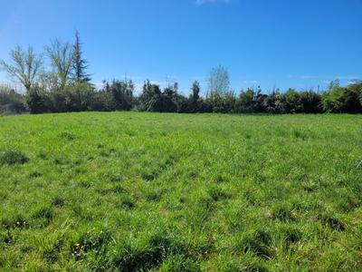 Terrain constructible - 1 025 m²