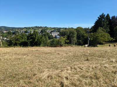 Terrain - 1 385 m²