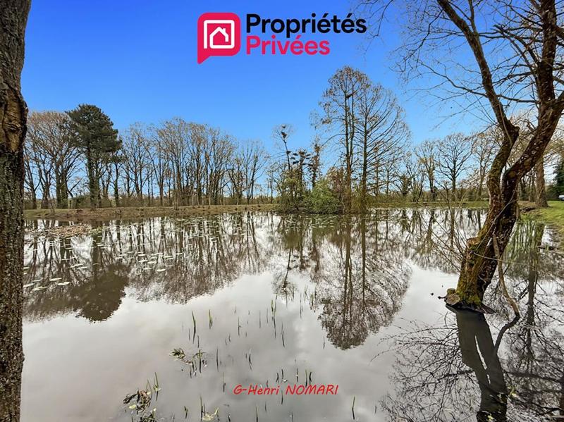 Étang - 12 340 m²