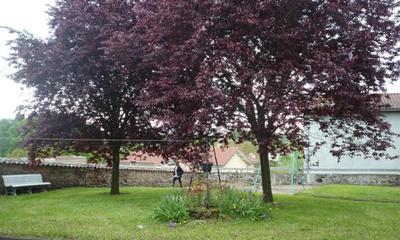 Appartement - 106 m² - 4 pièces