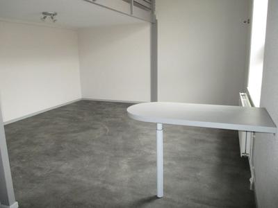 Appartement - 50 m² - 1 pièce