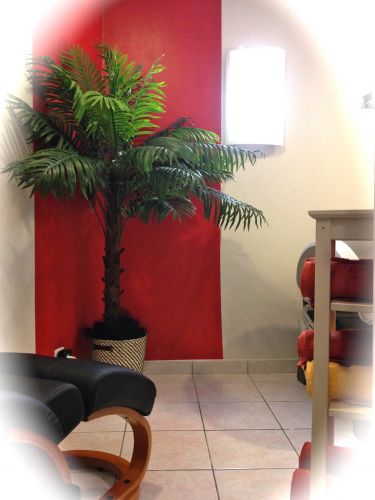 Beauté Zen Institut