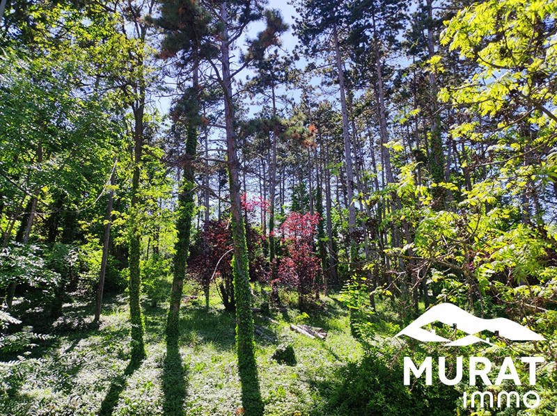 Maison - 238 m² - 9 pièces