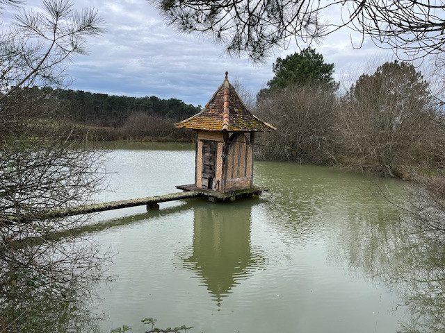 Maison traditionnelle - 330 m² - 10 pièces