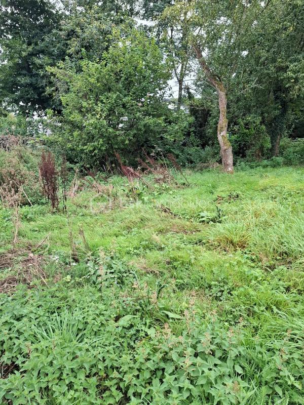 Grange - 41 m² - 1 pièce