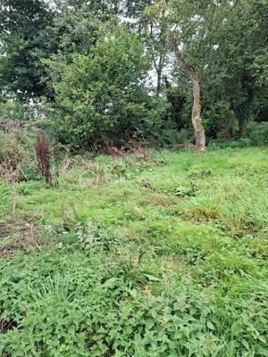 Grange - 41 m² - 1 pièce