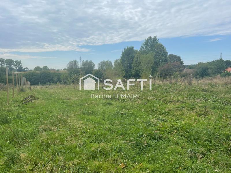 Terrain - 11 965 m²