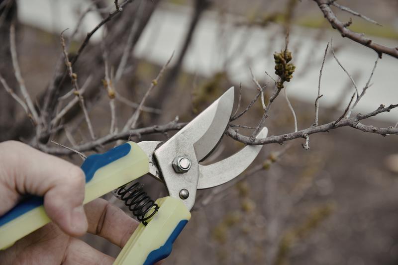 Démonstration de taille