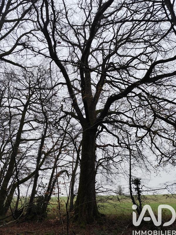 Terrain - 29 105 m²