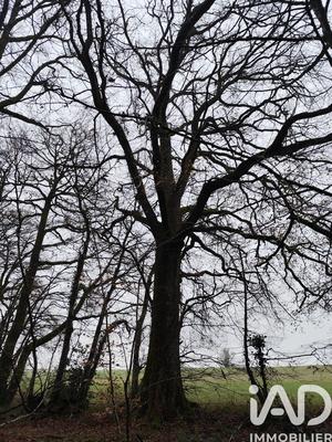 Terrain - 29 105 m²