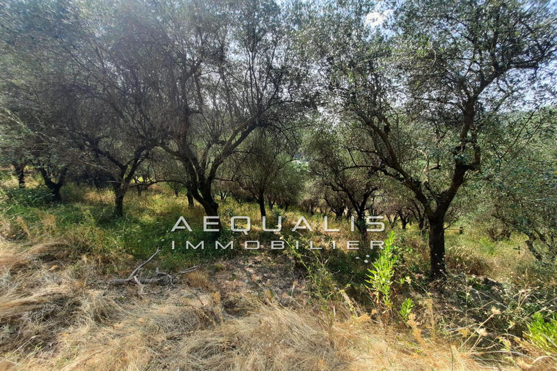 Terrain - 7 000 m²