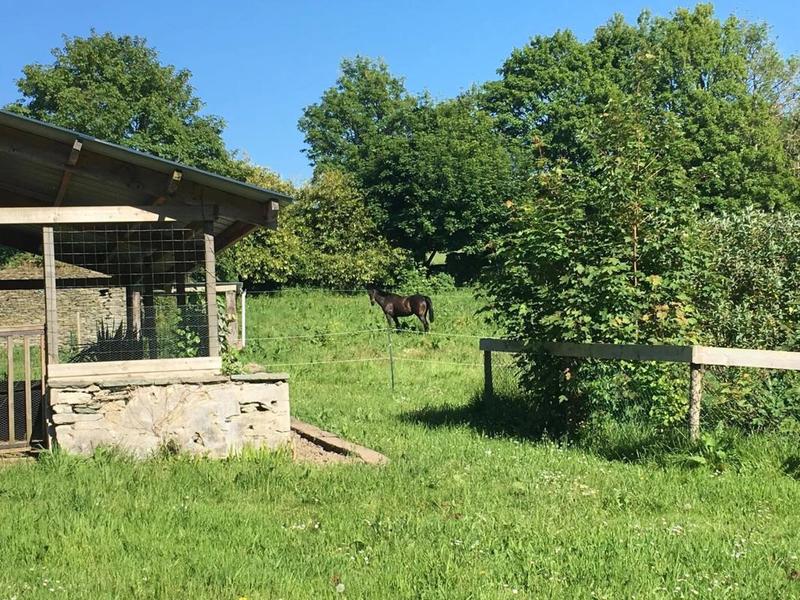 Demeure - 350 m² - 10 pièces