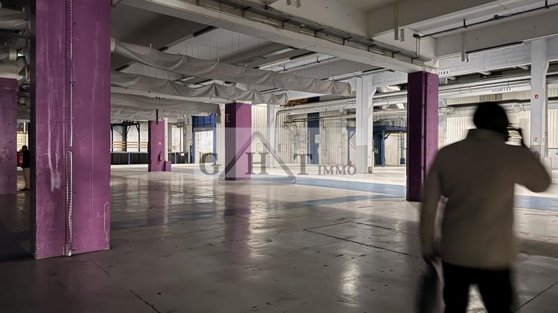 Entrepôt - 5 191 m²