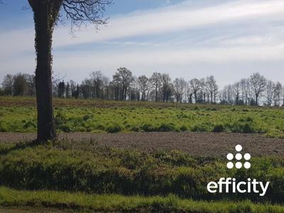 Maison - 44 m² - 1 pièce