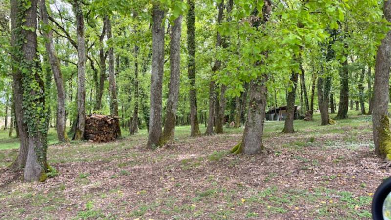 Maison de campagne - 230 m² - 6 pièces