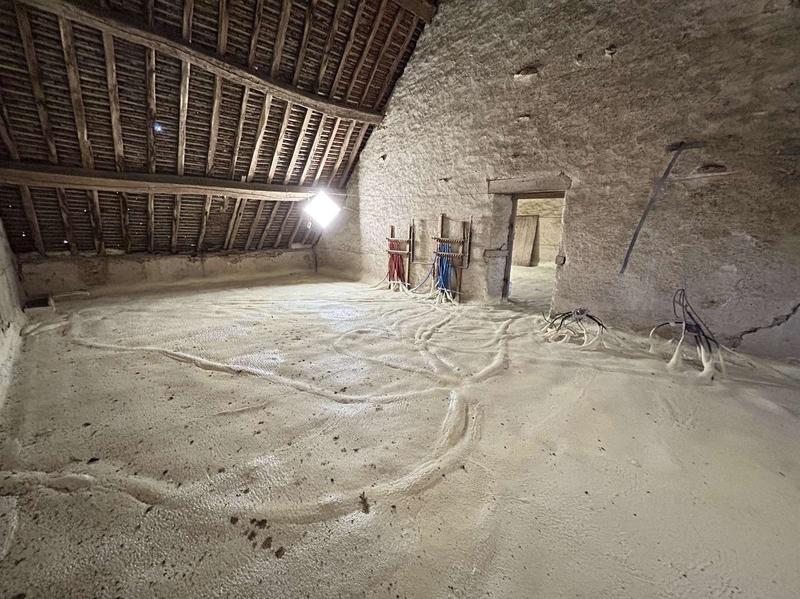 Maison traditionnelle - 220 m² - 10 pièces