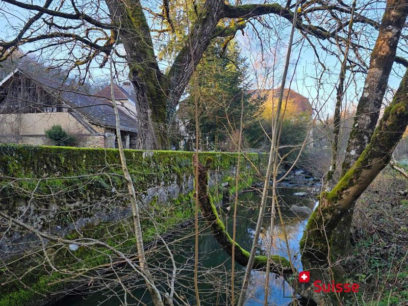 Corps de ferme - 409 m² - 7 pièces