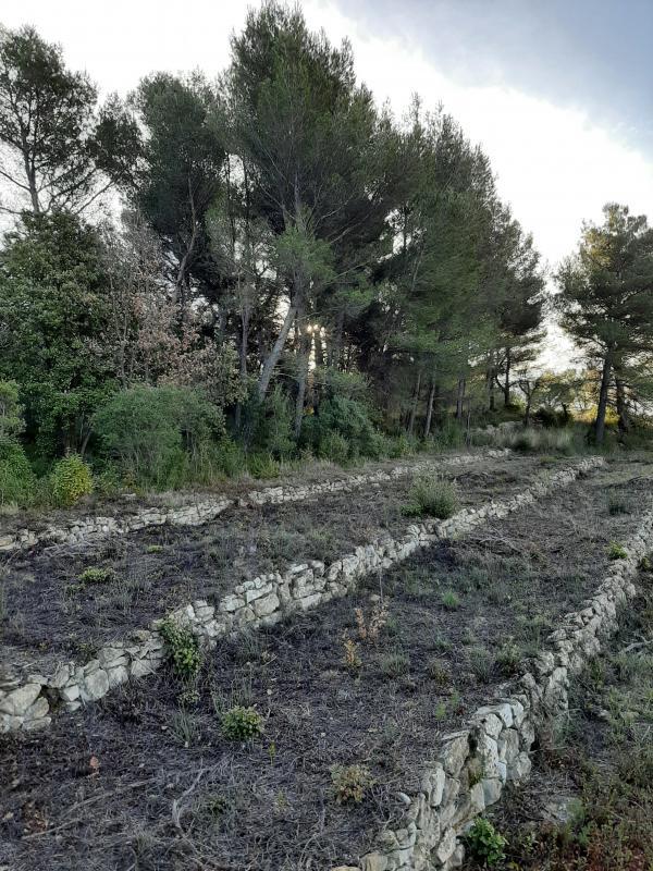 Terrain constructible - 1 499 m²