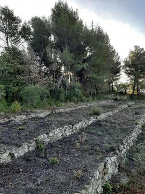 Terrain constructible - 1 499 m²