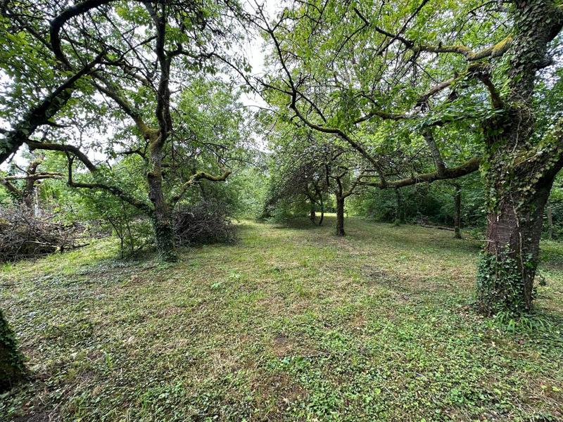 Terrain constructible - 956 m²