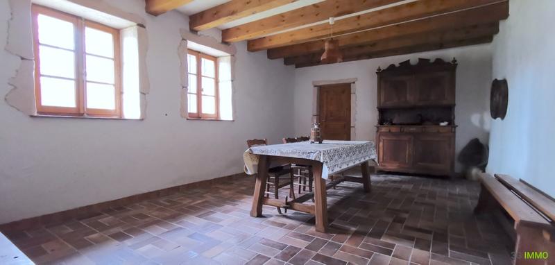 Maison en pierre - 441 m² - 13 pièces