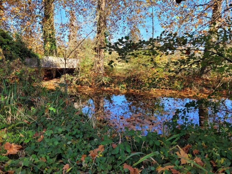 Maison - 400 m² - 4 pièces