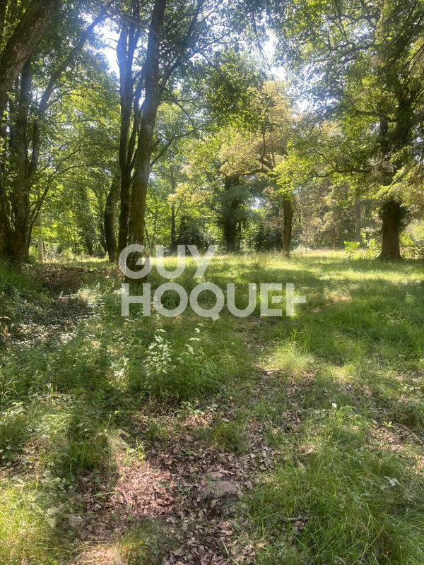 Maison - 130 m² - 4 pièces