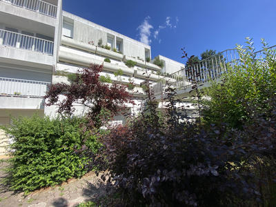 Appartement - 53 m² - 2 pièces