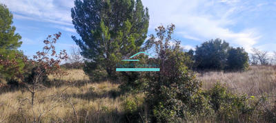 Terrain agricole - 21 172 m²