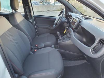 Fiat Panda My21 1.0 70 ch Hybride Bsg s/S Sport