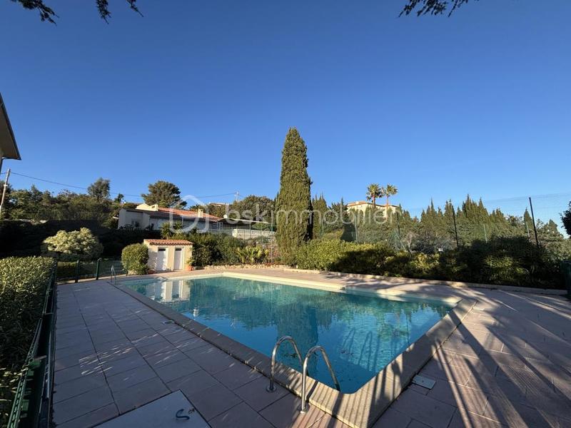 Studio - 23 m² - 1 pièce