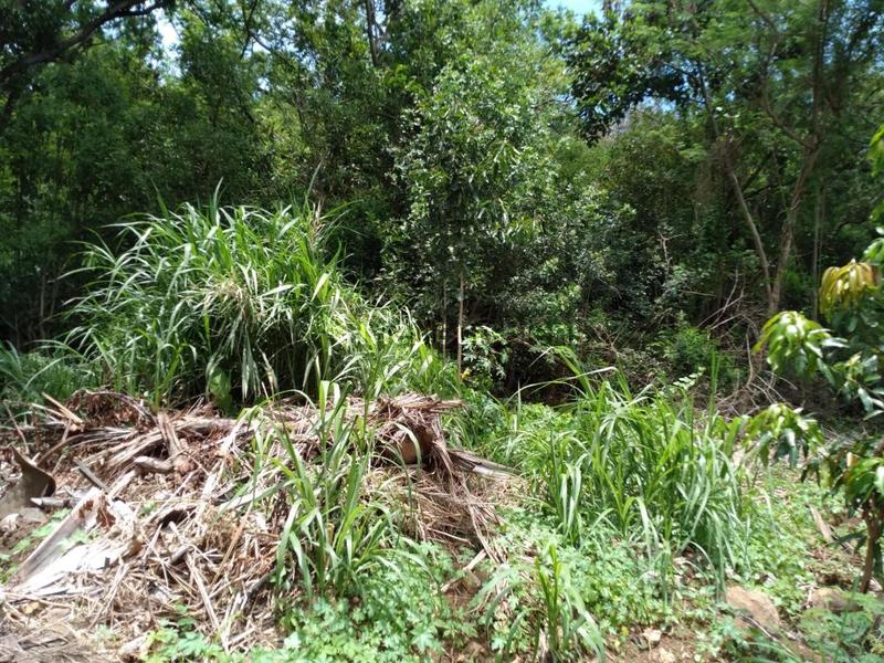 Terrain constructible - 5 300 m²